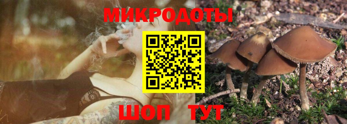 Галлюциногенные грибы Psilocybine cubensis  Вход с VPN  Когалым  Псилоцибиновые грибы Magic Shrooms 