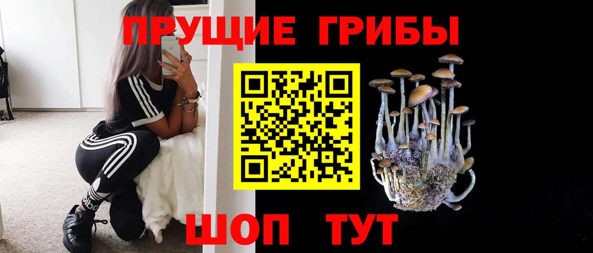 Галлюциногенные грибы прущие грибы Когалым